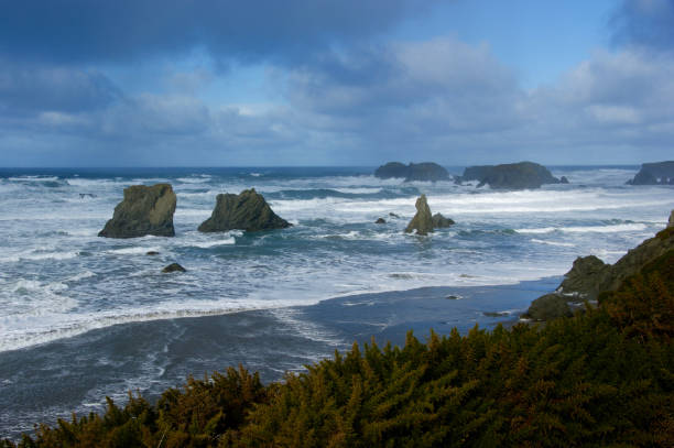 istock Rocky Pacific Northwest beach at dusk 841759358