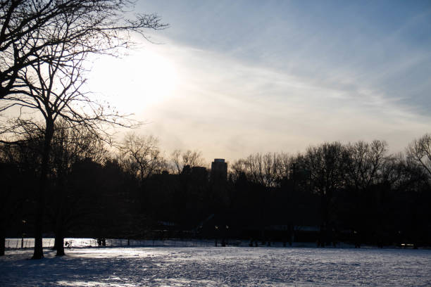 istock Snow field and silhouette trees at park in evening 841759422