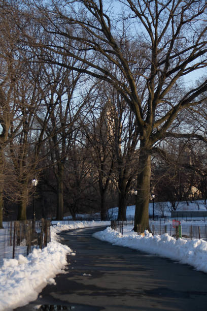 istock Wet walkway and snow at park 841759480