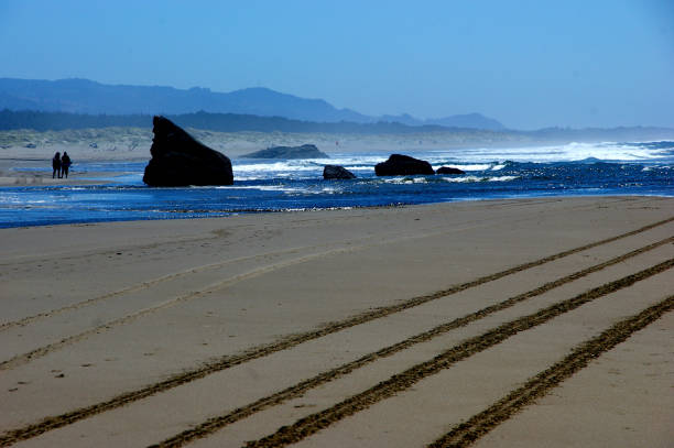 istock Rocky beach landscape with tire tracks along the sand 841761894