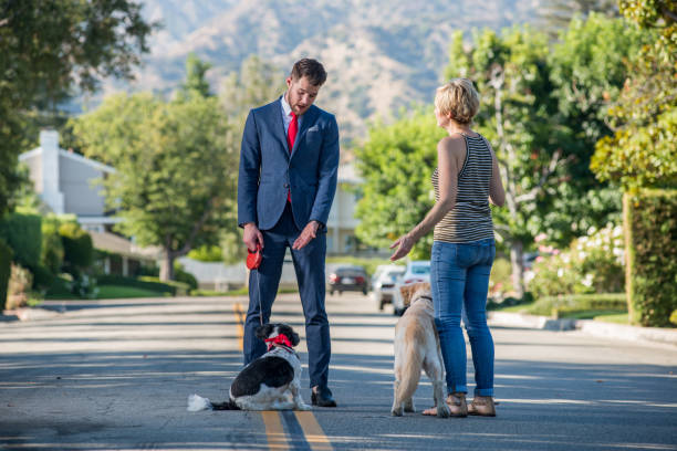 istock Living with Pets - Businessman Walking the Dog Before Work 841762164