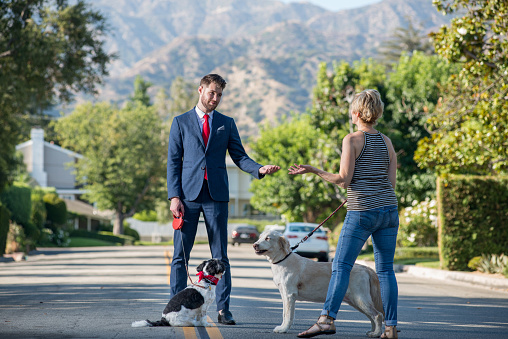 Hip millennial businessman dressed in his suit tries to get his dog to poop before going to work but the dog is disobeying him and looking away. A neighbor talks with him with her own dog in the middle of the street
