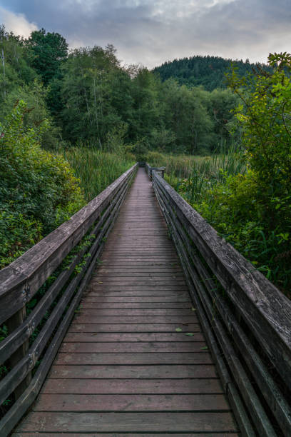 istock Along The McLane Nature Trail 841765258