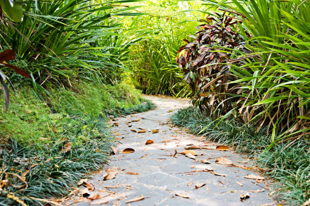 istock Garden with paving stone walkway 841765778