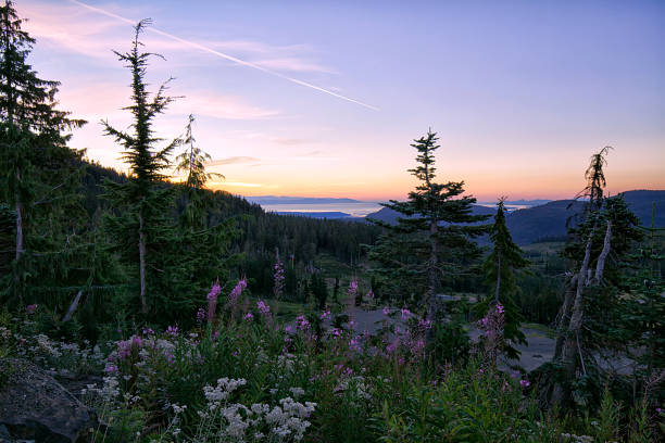 istock Sunrise at Mount Washington, Vancouver Island, BC, Canada 841768706