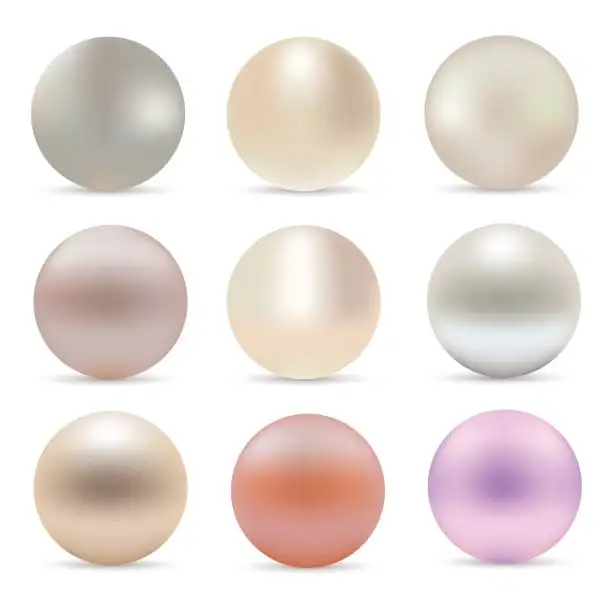 Vector illustration of Pearl realistic set isolated on white background. Spherical beautiful 3D orb. Vector