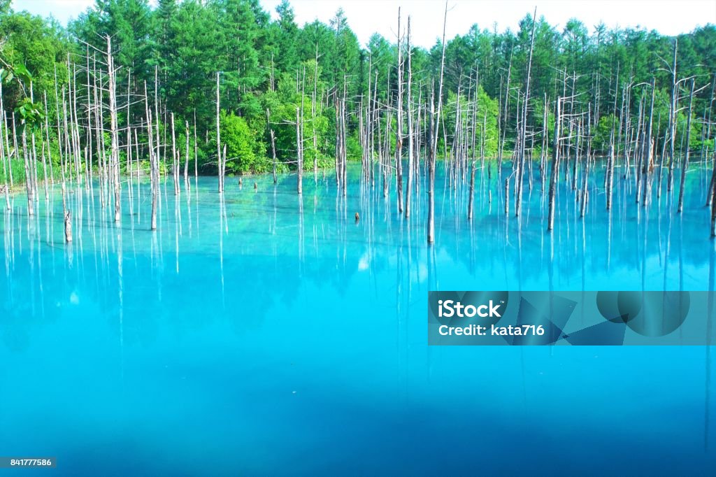 Biei's Blue Pond Biei Town Stock Photo