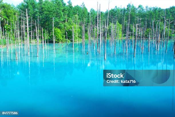 Bieis Blue Pond Stock Photo - Download Image Now - Biei Town, Blue, Lake