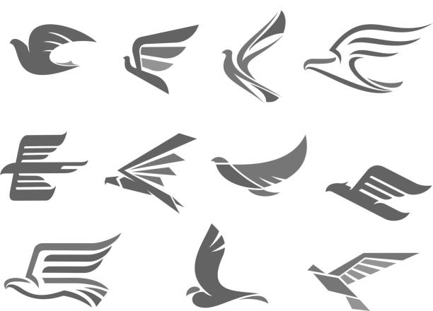 Vector icons of flying birds and wings Bird with spread wings or birds flying vector icons set. Isolated symbols of dove, hawk or eagle bird in flight for company or brand corporate and business identity premium template symbol icon set business downloading stock illustrations