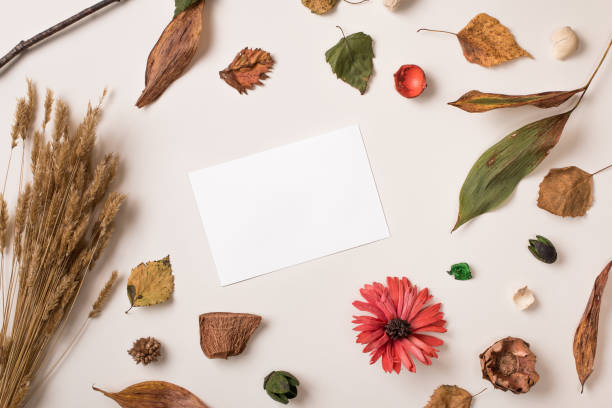 istock Autumn background with white paper card 841795012