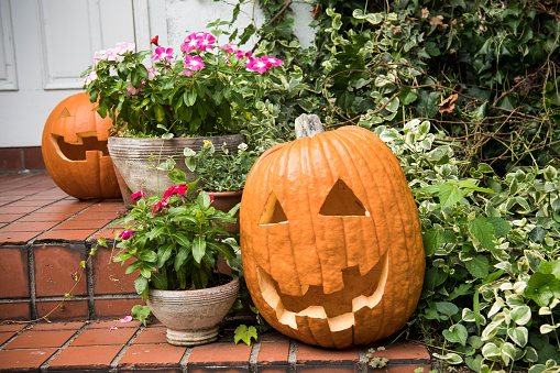 A picture of a house decorated on the day of Halloween.