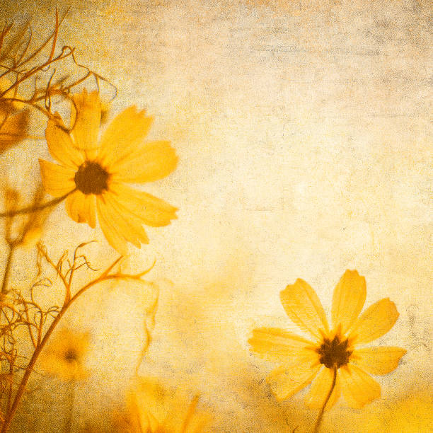 grunge floral background with space for text or image