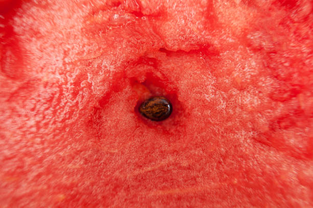 istock Fresh red watermelon with seed in the center, background. 841802448
