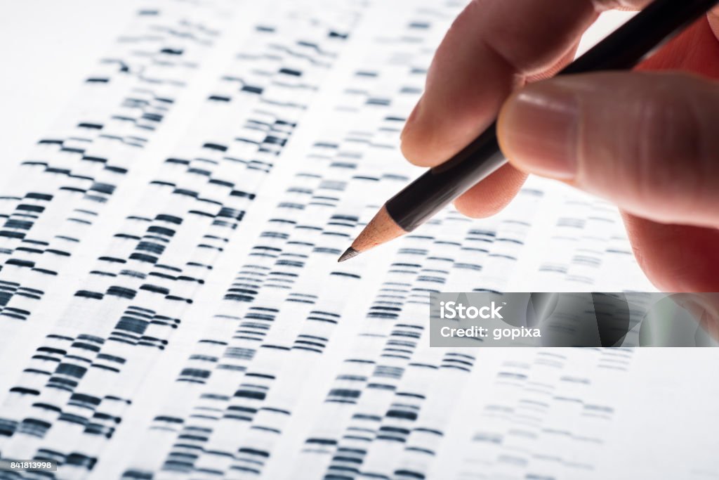 Auswertung von ADN-Gel - Foto de stock de Oncología libre de derechos