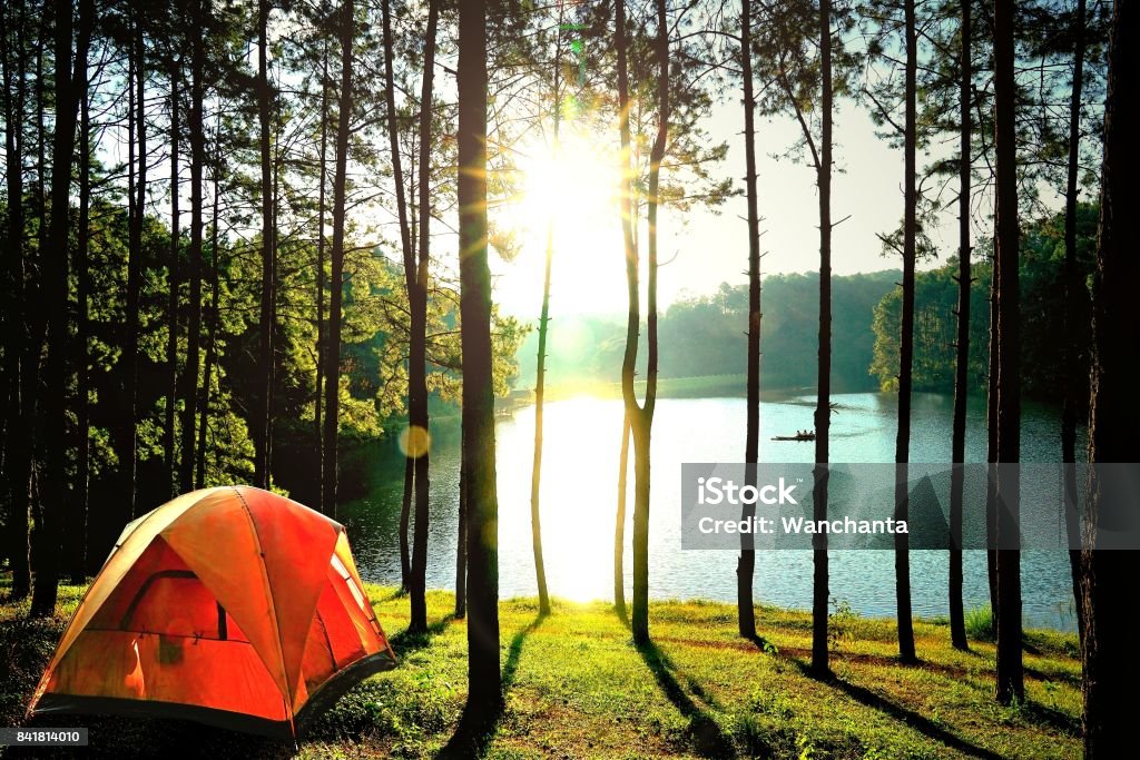 Orange camping Zelte im Kiefernwald am See am Pang Oung See (Pang Tong Reservoir), Mae Hong Son, Thailand. - Lizenzfrei Camping Stock-Foto