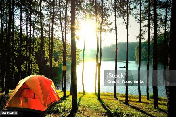 Orange Camping Zelte Im Kiefernwald Am See Am Pang Oung See Mae Hong Son Thailand Stockfoto und mehr Bilder von Camping