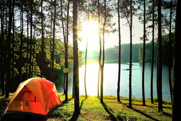 Orange camping tents in pine tree forest by the lake at Pang Oung Lake (Pang Tong reservoir), Mae hong son, Thailand. stock photo