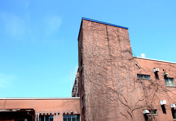istock Scenery of Otaru 841814318