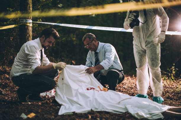 Investigation in progress Group of people, crime scene investigation, police and forensics doing their jobs, there is a dead body in the forest. dead person photos stock pictures, royalty-free photos & images