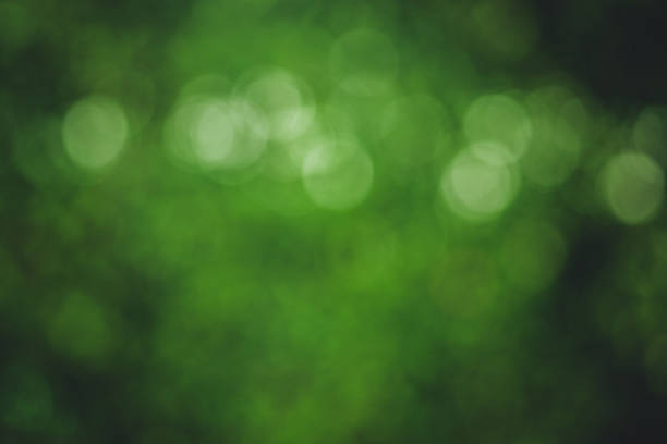 istock Natural green background with bokeh circles. 841818564