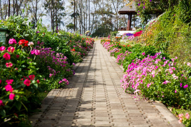 istock The passage and flowers 841824580
