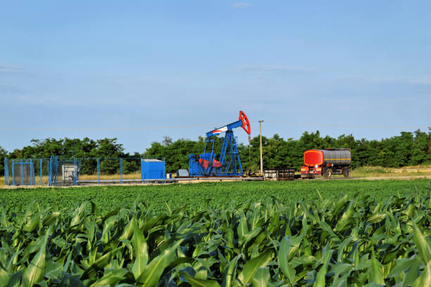 istock Corn field and oil well with pumpjack in background 841824954