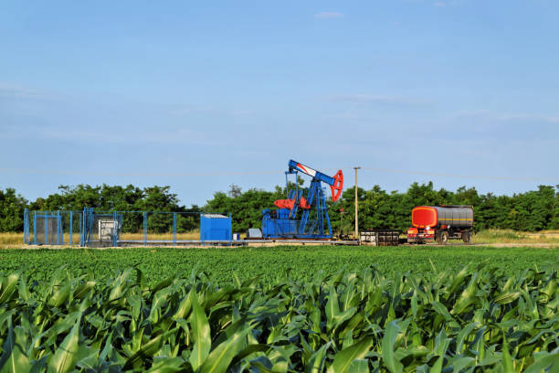 istock Corn field and oil well with pumpjack in background 841824968