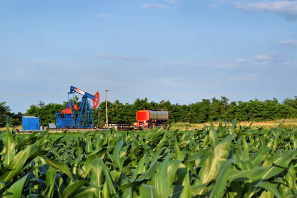 istock Corn field and oil well with pumpjack in background 841825200