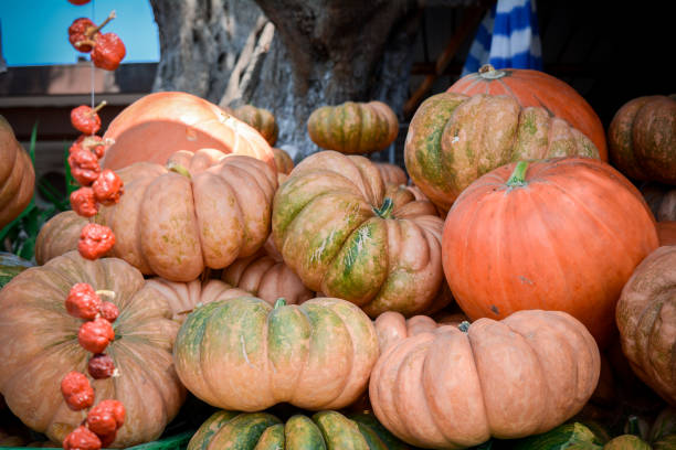 istock italian ripe pumpkins 841825508