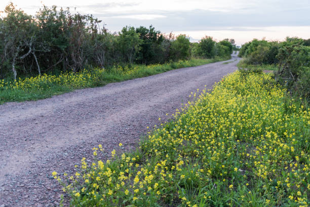 istock Beautiful country road 841829030