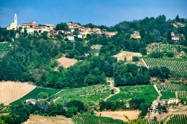 istock Oltrepo Pavese (Italy), rural landscape at summer 841829654