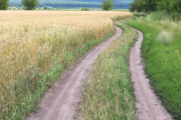 istock dirt road in field in summer 841835718