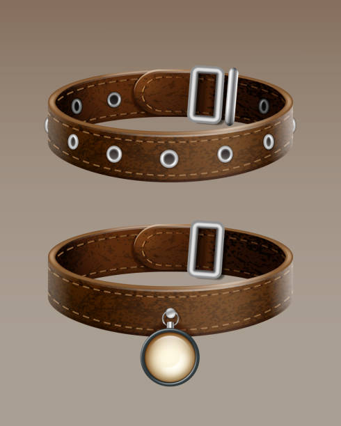 Leather Dog Collar Stock Photos, Pictures & Royalty-Free Images - iStock