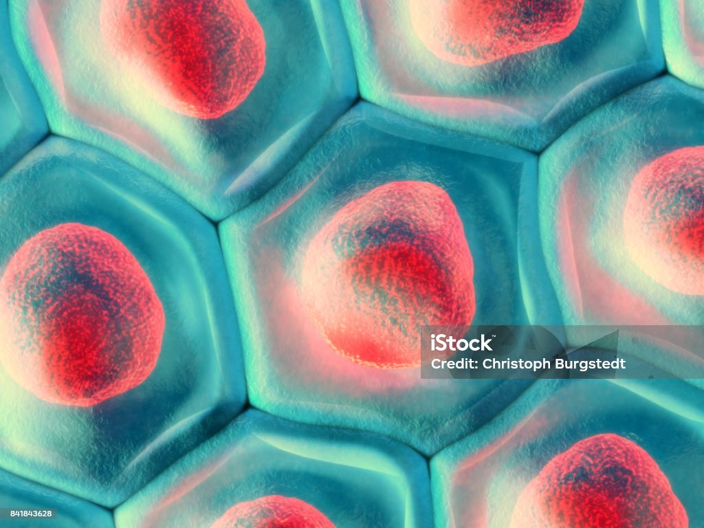 Illustrazione 3d di una vista dall'alto sul motivo a celle blu con nucleo a globuli rossi - Foto stock royalty-free di Pelle