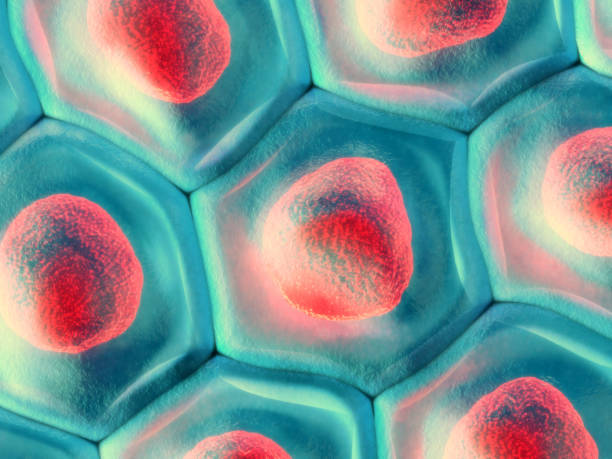 illustrazione 3d di una vista dall'alto sul motivo a celle blu con nucleo a globuli rossi - human cell foto e immagini stock