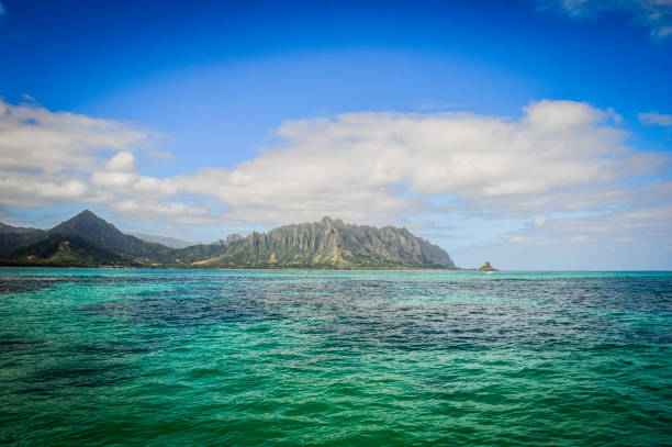 agua de la bahía de kaneohe - oahu water sand beach fotografías e imágenes de stock