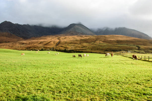 istock Landscape in my loved Scotland 841852382