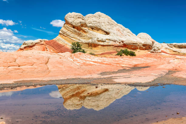 istock Plateau White Pocket, Arizona 841862138