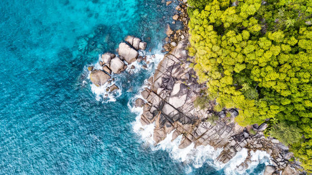 Aerial view of coastline -  Anse Royale - Mahe Island - Seychelles