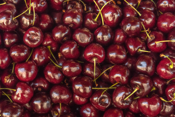 Background texture of vibrant fresh cherries at a market