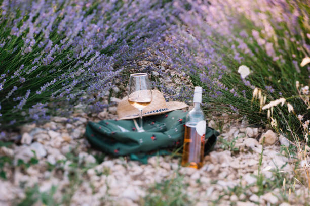 Picnic outdoors in lavender fields in Provence, south France. Rose wine in a glass, whole bottle of wine and a travel backpack stock photo