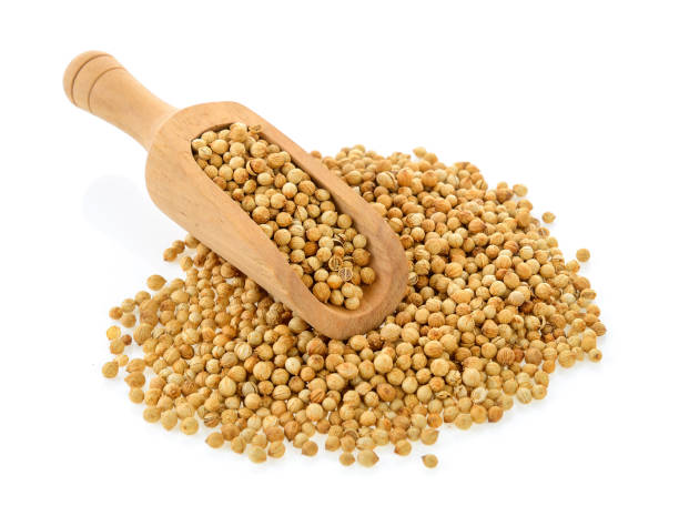 istock Coriander seeds in scoop isolated on white background 841893062