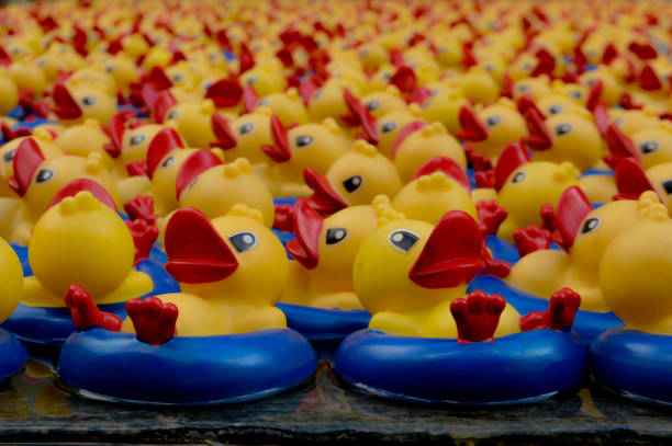 istock Rubber duck in pool summer outdoor sunny refreshing mexico party 841897124