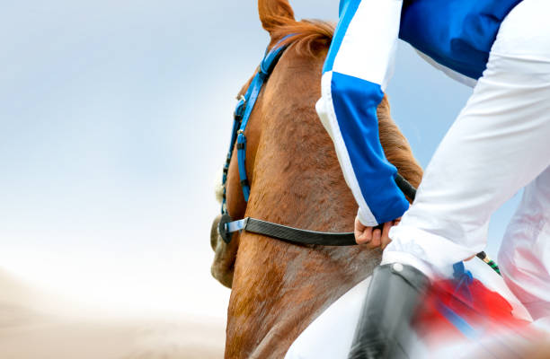 jockey sur un gros plan de cheval de course - animal track photos photos et images de collection