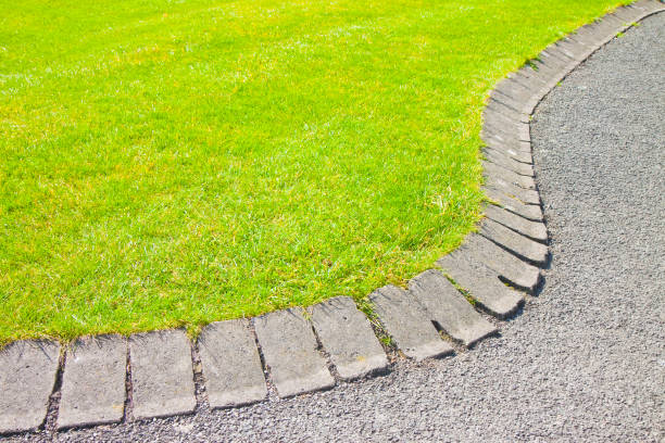 istock Flowerbed with curvilinear shapes and stone floor 841908332