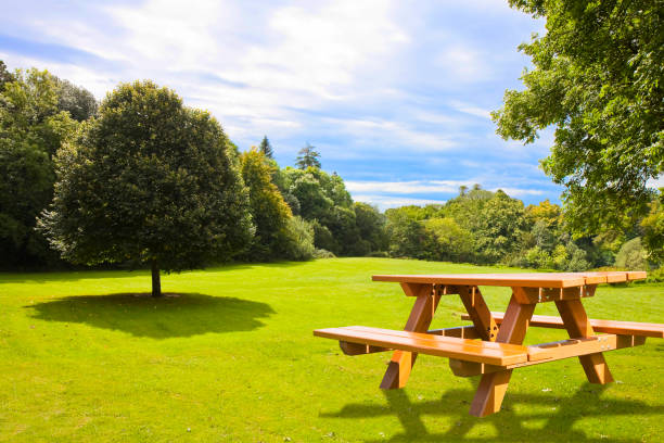 istock Picnic table on a green meadow with trees on background 841909220