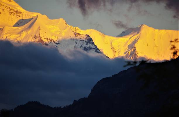 puesta de sol de verano sobre el jungfrau, bernese oberland, suiza - silberhorn fotografías e imágenes de stock
