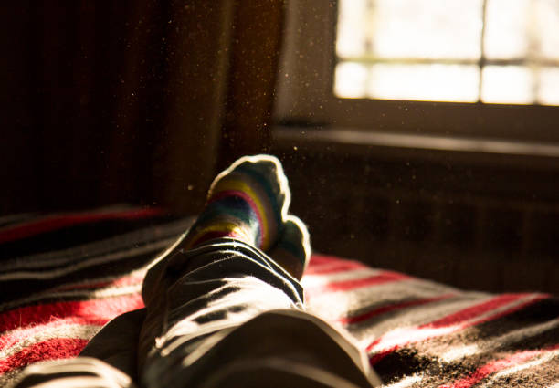 lying and relaxing in bed opposite a window on a sunny day