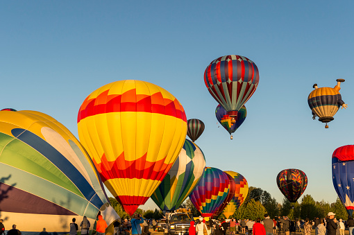 Albany, Oregon, USA - August 26, 2017: Hot-Air Balloons on the ground and air for the Northwest Art and Air festival. The balloons have some people visible in the wicker baskets. A number of people can be seen in the launch area helping or enjoying the morning activity. This free annual three-day Festival is held at Timber Linn Park, a city of Albany Oregon public park. It makes a great area for the Art sales booths, Music, food, Hot Air Balloon Launch area and more. The balloons Launch in the early mornings on Friday, Saturday and Sunday. This Saturday the balloons were floating to the South of Albany. The photo was taken from Timber Linn Park, a free public area.