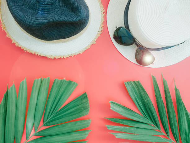 istock flat lay for summer concept with beach hat on red background and green tropical palm leaf 841927732